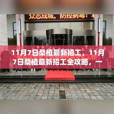 11月7日桑植最新招工全攻略,成功应聘的步骤与技巧