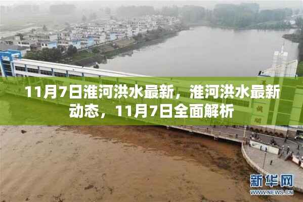 淮河洪水最新动态解析,11月7日全面关注洪水进展报告