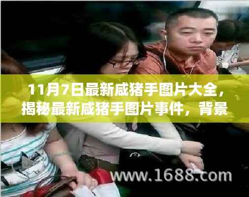 揭秘最新咸猪手事件,图片大全与事件背景、进展与影响深度解析