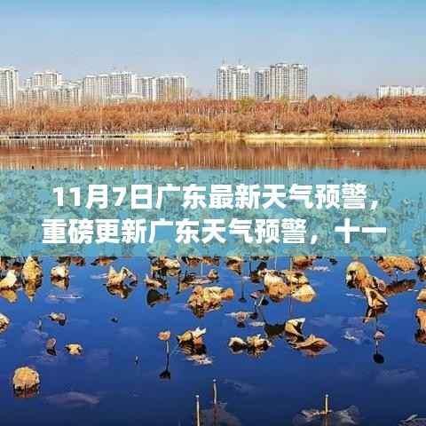 11月7日广东最新天气预警,气象信息重磅更新