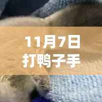 穿越数字海洋,探索手游打鸭子兴起与影响——以最新下载版为例