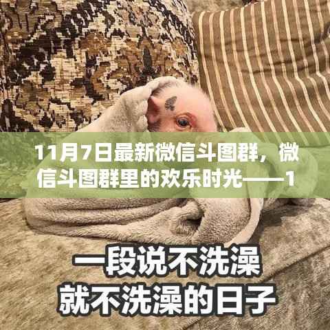 微信斗图群欢乐时光,11月7日特别篇章分享