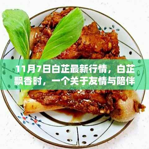 白芷飘香时,友情与陪伴的温馨故事及最新行情