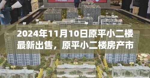 2024年11月原平小二楼房产市场最新动态及出售信息解析
