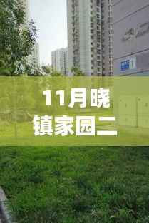 揭秘,11月晓镇家园二手房市场最新动态与房源更新