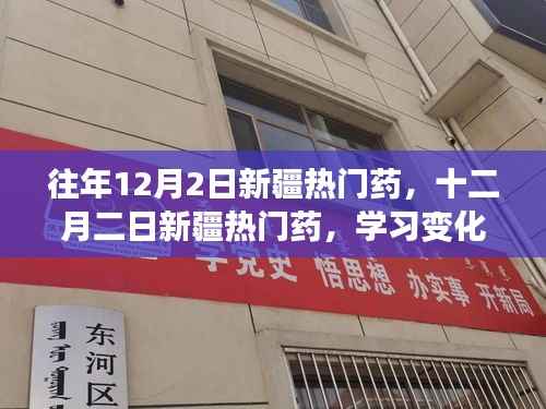 往年12月2日新疆热门药物回顾,学习变化的力量与自信种子的播种