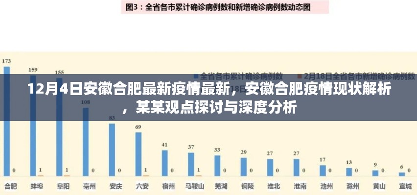 12月4日安徽合肥最新疫情最新,安徽合肥疫情现状解析,某某观点探讨与深度分析