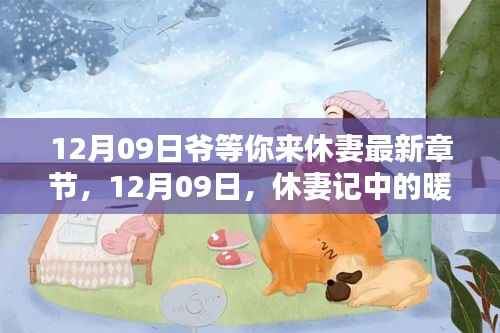 12月09日休妻记，暖阳日常与爱的纽带最新章节已更新