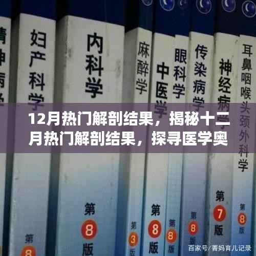 十二月热门解剖结果揭秘,医学奥秘探寻之旅的三大要点