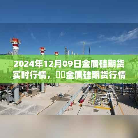 金属硅期货实时行情下的心灵之旅与美景共舞的日子(XXXX年XX月XX日)