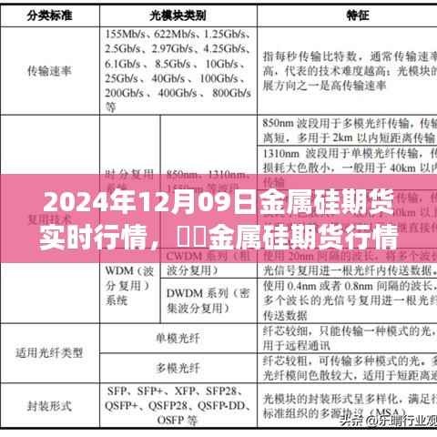 金属硅期货实时行情下的心灵之旅与美景共舞的日子(XXXX年XX月XX日)