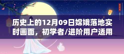 鸟语花香 第4页