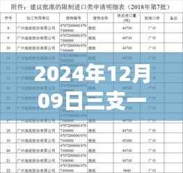跃动未来,2024年三支一扶六月政策下的成长之路