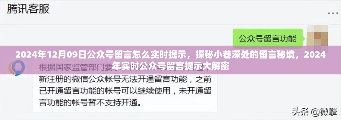 探秘公众号留言秘境，揭秘实时提示新功能与小巷深处的秘密留言互动体验（2024版）