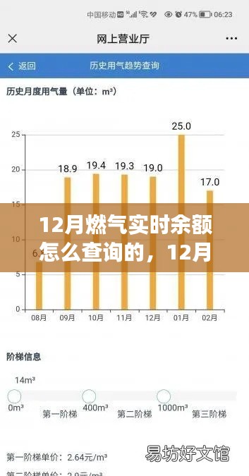12月燃气实时余额查询完全指南,零基础操作教程