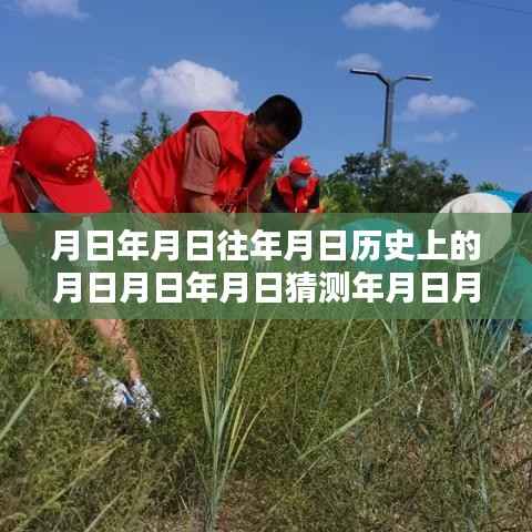 张家口蒿草浓度历史数据与实时查询指南,探索年月日间的秘密