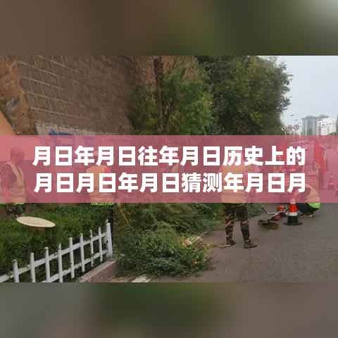 张家口蒿草浓度历史数据与实时查询指南,探索年月日间的秘密