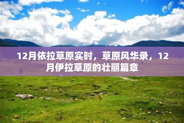 12月伊拉草原壮丽风华录,草原实时壮丽篇章