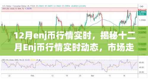 揭秘十二月Enj币行情实时动态,市场走势、热点展望与未来投资指南