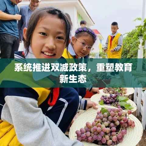 系统推进双减政策，重塑教育新生态
