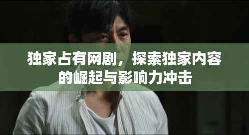 独家占有网剧,探索独家内容的崛起与影响力冲击