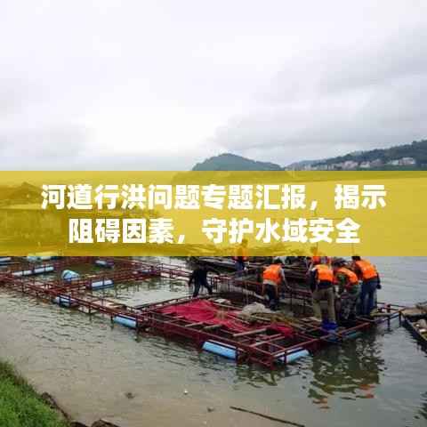 河道行洪问题专题汇报,揭示阻碍因素,守护水域安全