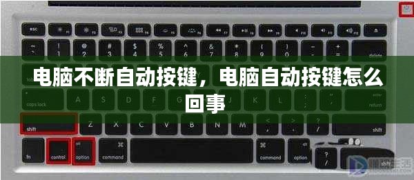 豪门贵胄 第2页