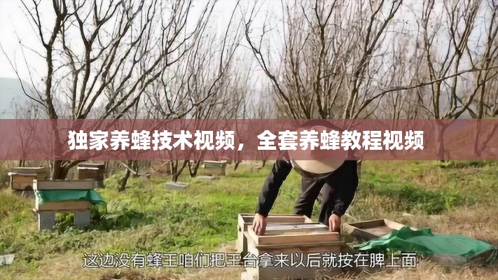 独家养蜂技术视频,全套养蜂教程视频