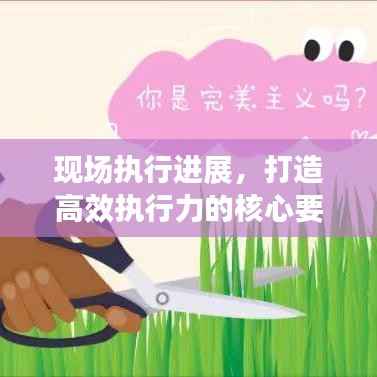现场执行进展，打造高效执行力的核心要素揭秘！