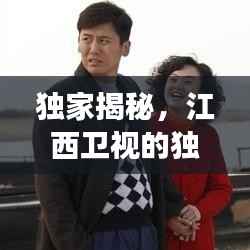 独家揭秘,江西卫视的独特魅力及未来展望