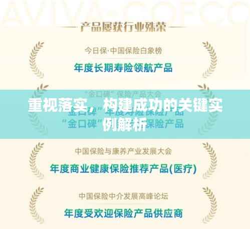 重视落实,构建成功的关键实例解析