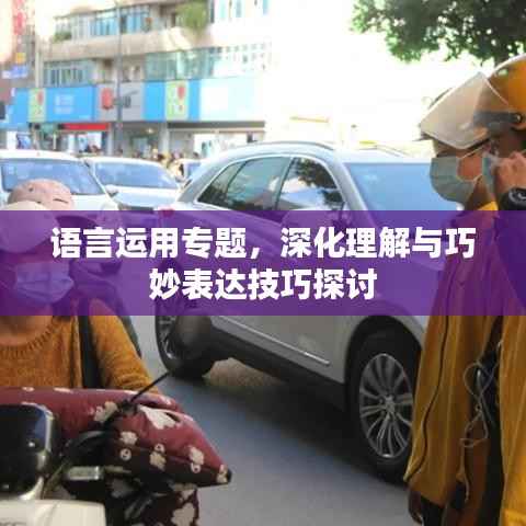 语言运用专题,深化理解与巧妙表达技巧探讨
