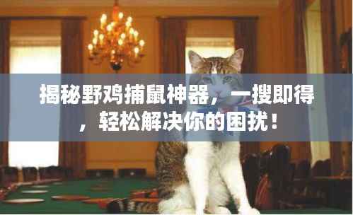 揭秘野鸡捕鼠神器,一搜即得,轻松解决你的困扰!