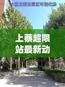 上蔡超限站最新动态揭秘，今日消息一网打尽！
