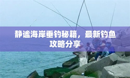 静谧海岸垂钓秘籍，最新钓鱼攻略分享