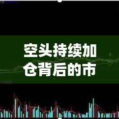 空头持续加仓背后的市场策略与风险洞察