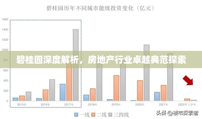 碧桂园深度解析,房地产行业卓越典范探索