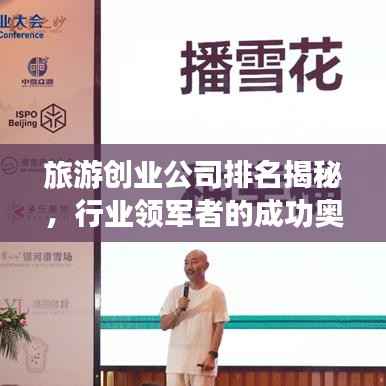 旅游创业公司排名揭秘,行业领军者的成功奥秘探索