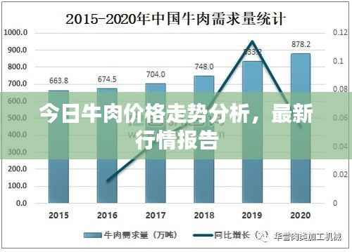 今日牛肉价格走势分析,最新行情报告