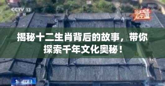 慌慌张张 第2页