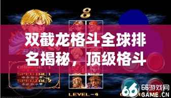 双截龙格斗全球排名揭秘,顶级格斗手的荣耀征程
