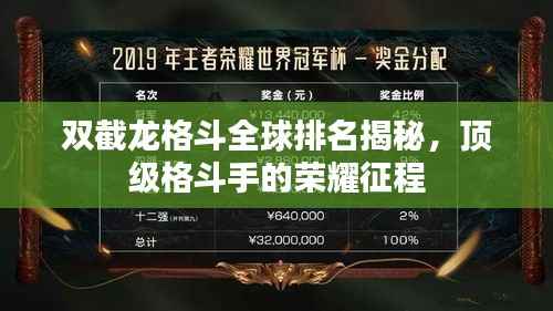 双截龙格斗全球排名揭秘,顶级格斗手的荣耀征程
