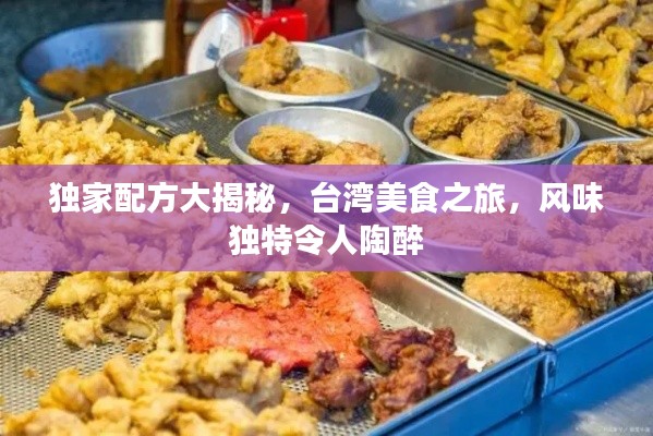 独家配方大揭秘，台湾美食之旅，风味独特令人陶醉