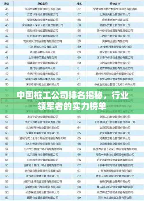 中国桩工公司排名揭秘,行业领军者的实力榜单