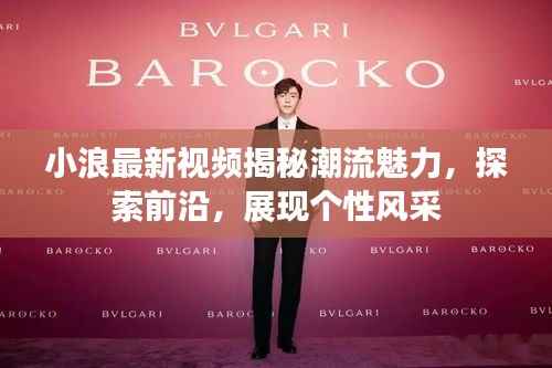 小浪最新视频揭秘潮流魅力,探索前沿,展现个性风采