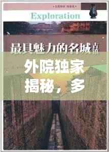 衣不重采 第2页