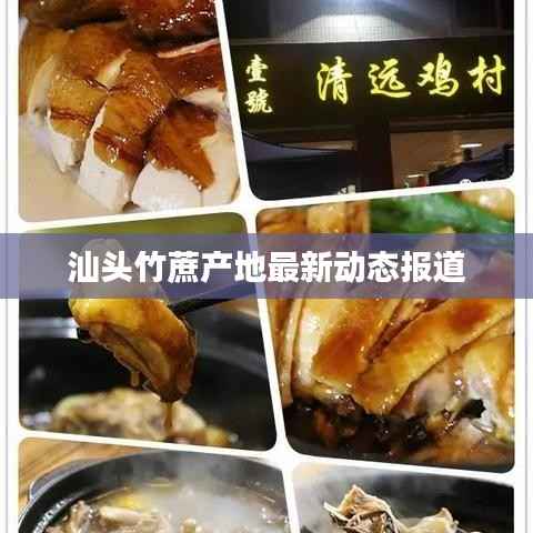 汕头竹蔗产地最新动态报道