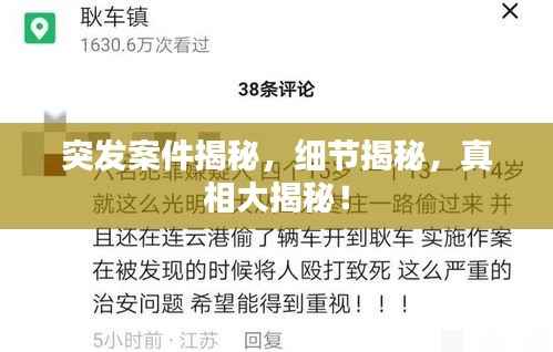 突发案件揭秘,细节揭秘,真相大揭秘!
