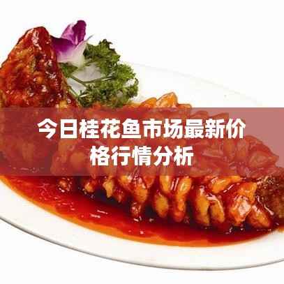 今日桂花鱼市场最新价格行情分析