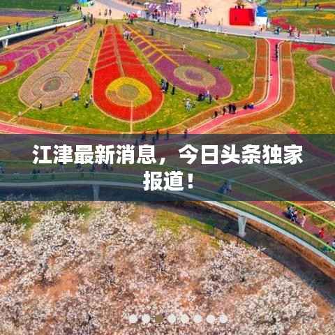 江津最新消息，今日头条独家报道！